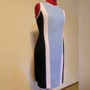 Calvin Klein Dress Blue/White Zip Back Fitted